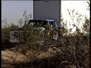 Fluch Der Piratenschlampen. Curse of the Pirate Sluts