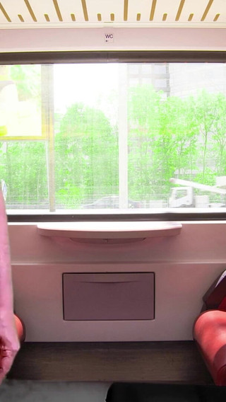 Hot Ride on the Train with Agarabas and Olpr