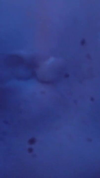 Blonde Sunny Sun Gets Gangbanged in Hotelroom by Huge Cocks