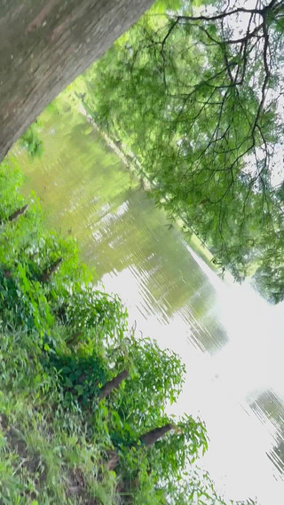 Catch Me Naked at the Park