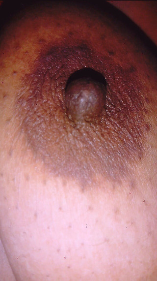 Gita Stepaunty Show Big Big Boobs and Pussy 2025 Part Two