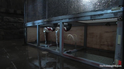 The Training of Bobbi Starr, Day Four