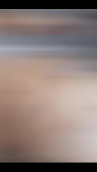 Put It Inside Please