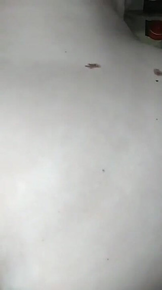 Oil on Ass and Ready for Fuck