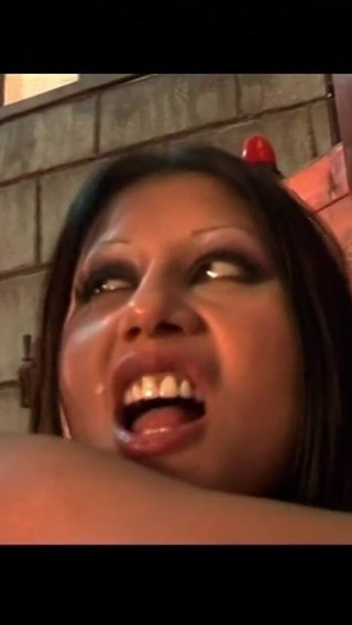 The Castle of Pleasure