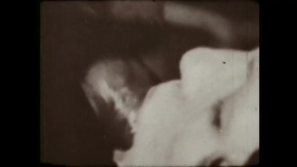 The Lymphomaniac Wife