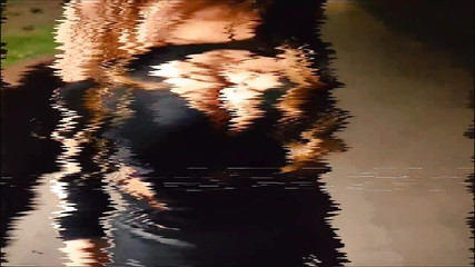 Scream - of Pleasure POV Blowjob - Anal