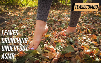 Leaves Crunching Underfoot Asmr