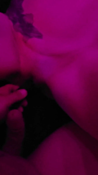 Toys Action and More