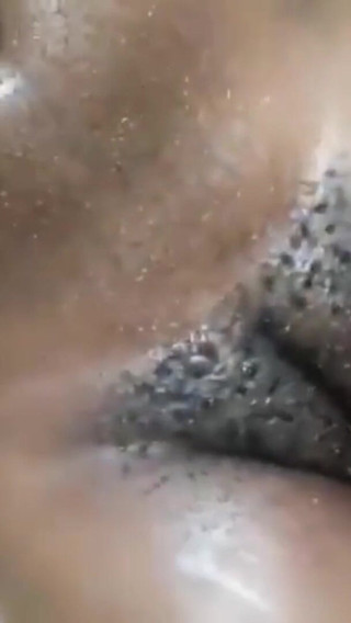 My Pussy Watching You