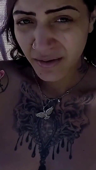 Viajando Procurando Paus