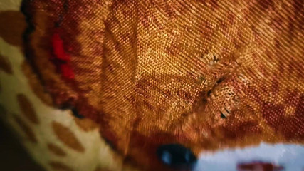 Nobody Is in the House Part 3