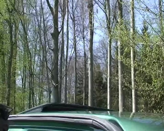 Brunette German Babe Rides Dick in Nature