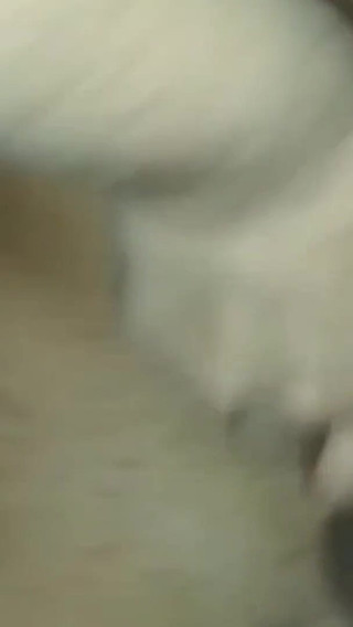 At Beginning of Threesome Adventures with My Wife and Friends