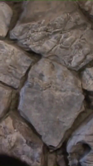 4 scenes - lesbian friends - 4 - full movie / about 70 min - DVD