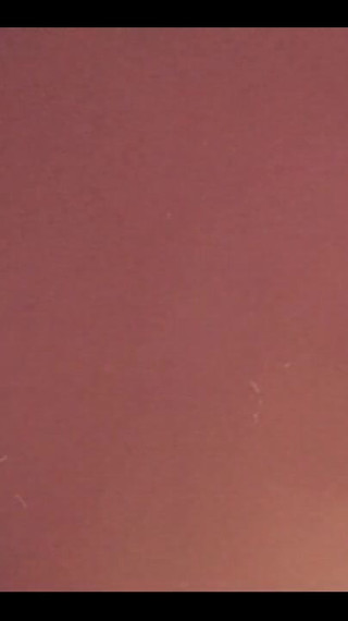 My Kitty Really Wants to Play