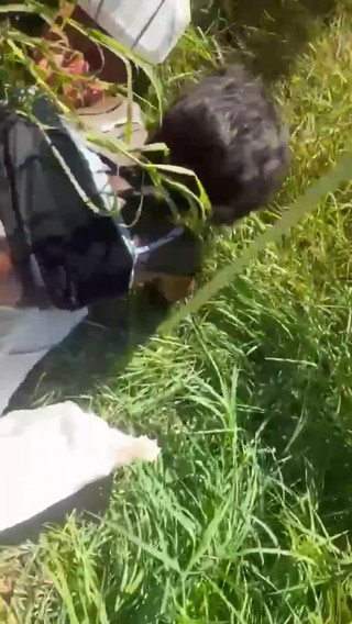 Couple Sex in the Middle of a Safari Tour