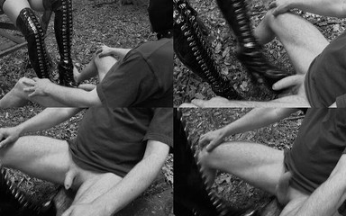 The Slave in the Forrest