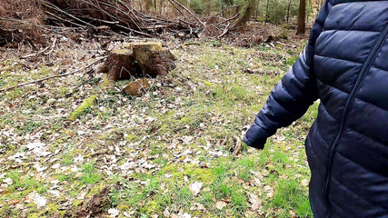 Clamps on Labia Walking Through the Forest