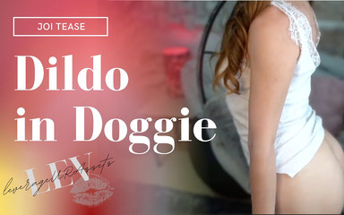 Dildo in doggie purple lingerie JOI - 426