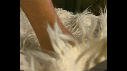 Amanda Steel Fucked Well by a Big Cock