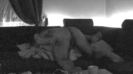 Horny Fuck with the Neighboring Bitch Is Interrupted by Her Husband