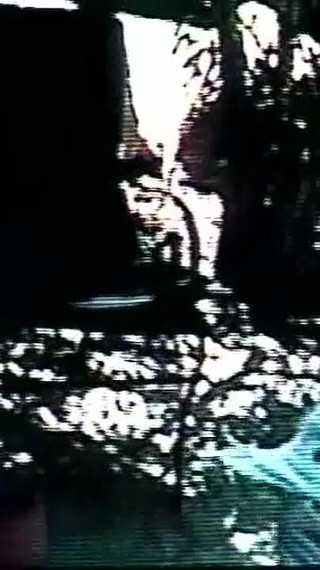 Wonderful Young Black Girl Enjoys Monster Black Cock That Cums on Her Mouth