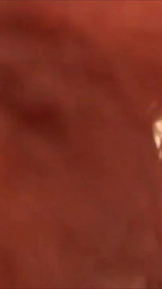 After a piss my cock is taken in the mouth to cum