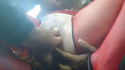 Car cam 3 - Anal probing cams 1&2