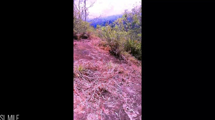 Risky Quick Public Sex in Jungle with Big Tits Girl Friend