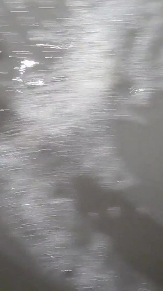 Beach Feet Covered in Wet Sand