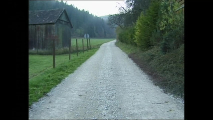 Brunette Horny MILF with a Hairy Pussy Sucked a Big Hard Cock Before He Fucked Her