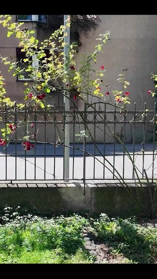 That Was the Perfect Spot to Pee