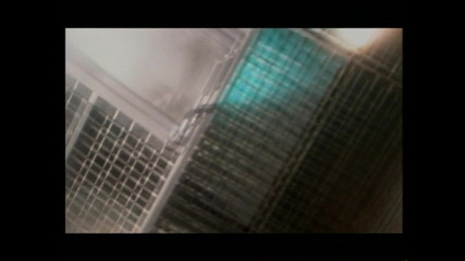 Hardcore Fuck Fest with Insatiable Hamburg Housewife Taking Multiple Cocks (full Porn Movie)