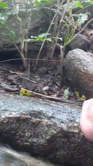 Katia Heffner in the Forest