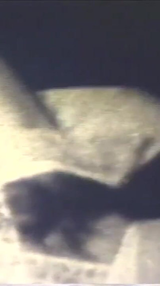 Fantastic Grandpas Fuck Old Wives and Young Granddaughters (full Movie)