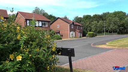 Carli Hudson - Pussy Eating Stress Relief