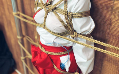 An Event to Tame New Shrine Maidens