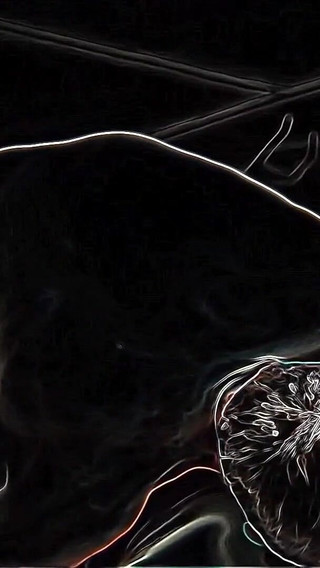 Hair Pulling Doggystyle on a Neon Night