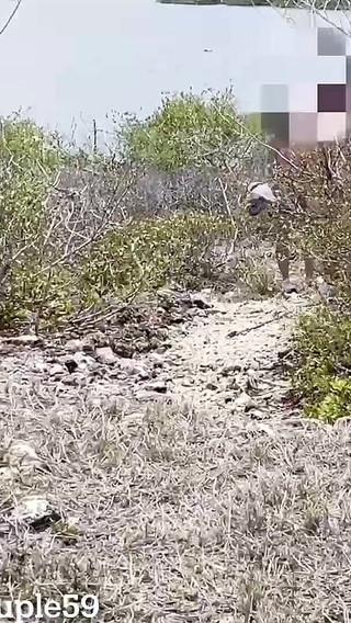 Wife Sharing on Nudist Beach While Hubby Records, Teenage Slut Gets Fucked by a Random Guy on a Nudist Beach