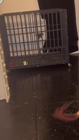 Beating the Slave Red