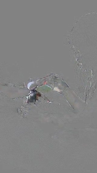 Morty Black Prod Horny African Ebony Stepmom like to taste juicy dick in the morning