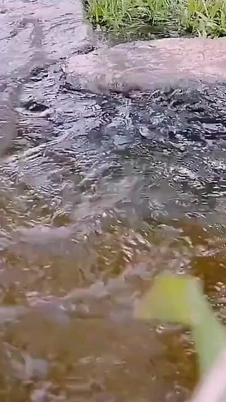 In the Outdoor, Desi Aunty Is Naked and Crazy Fingering in the Water