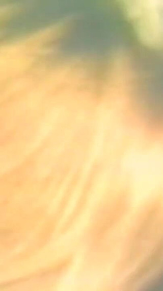 Real Boogie Nights - (restyling Movie in Full HD Version)