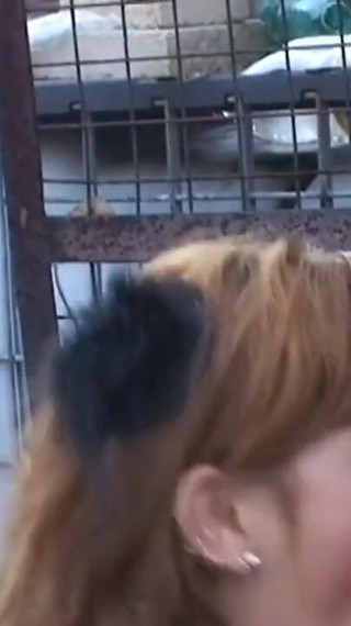 A whore gets fucked on a snow covered bridge