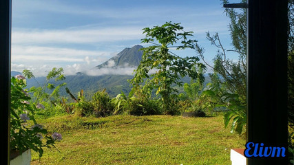 My Stepsisters Creamy Pussy Overlooking the Arenal Volcano