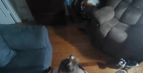 POV Couch Fucking -n- Sucking