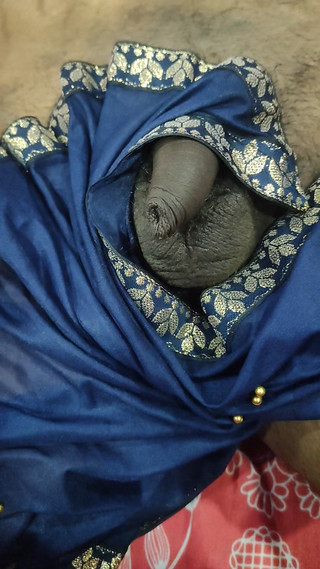 Sexy Bhabhi Gave Handjob to Stepbrother in Law in Saree