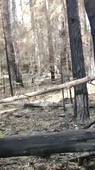 Femdom Latex Rubber Facesitting and Humiliation. Arya Grander.