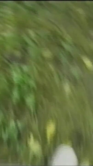 Vintage Porn Where a Girl Gets Fucked by a Big Cock and Her Friend Masturbates Her Pussy